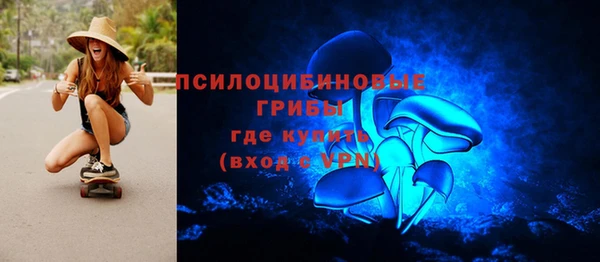 прущая мука Дмитриев