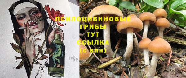 прущая мука Дмитриев