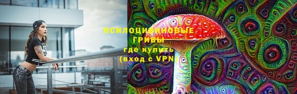 прущая мука Дмитриев
