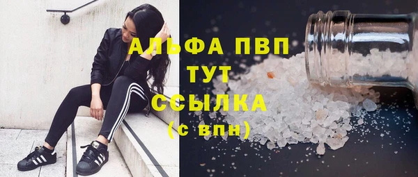 прущая мука Дмитриев